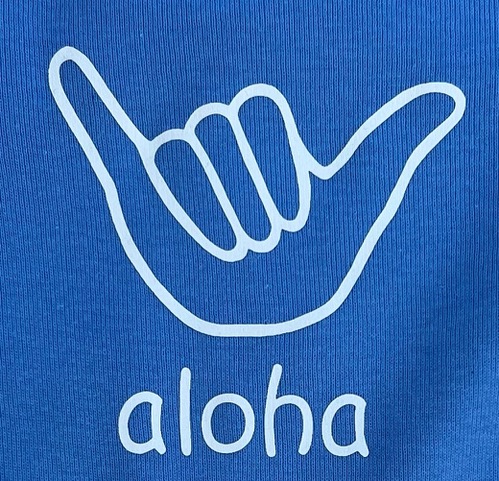 light blue aloha Keiki Kruisers design